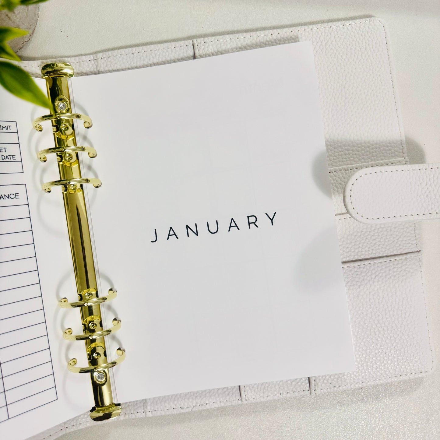 A5 Budget Planner Inserts