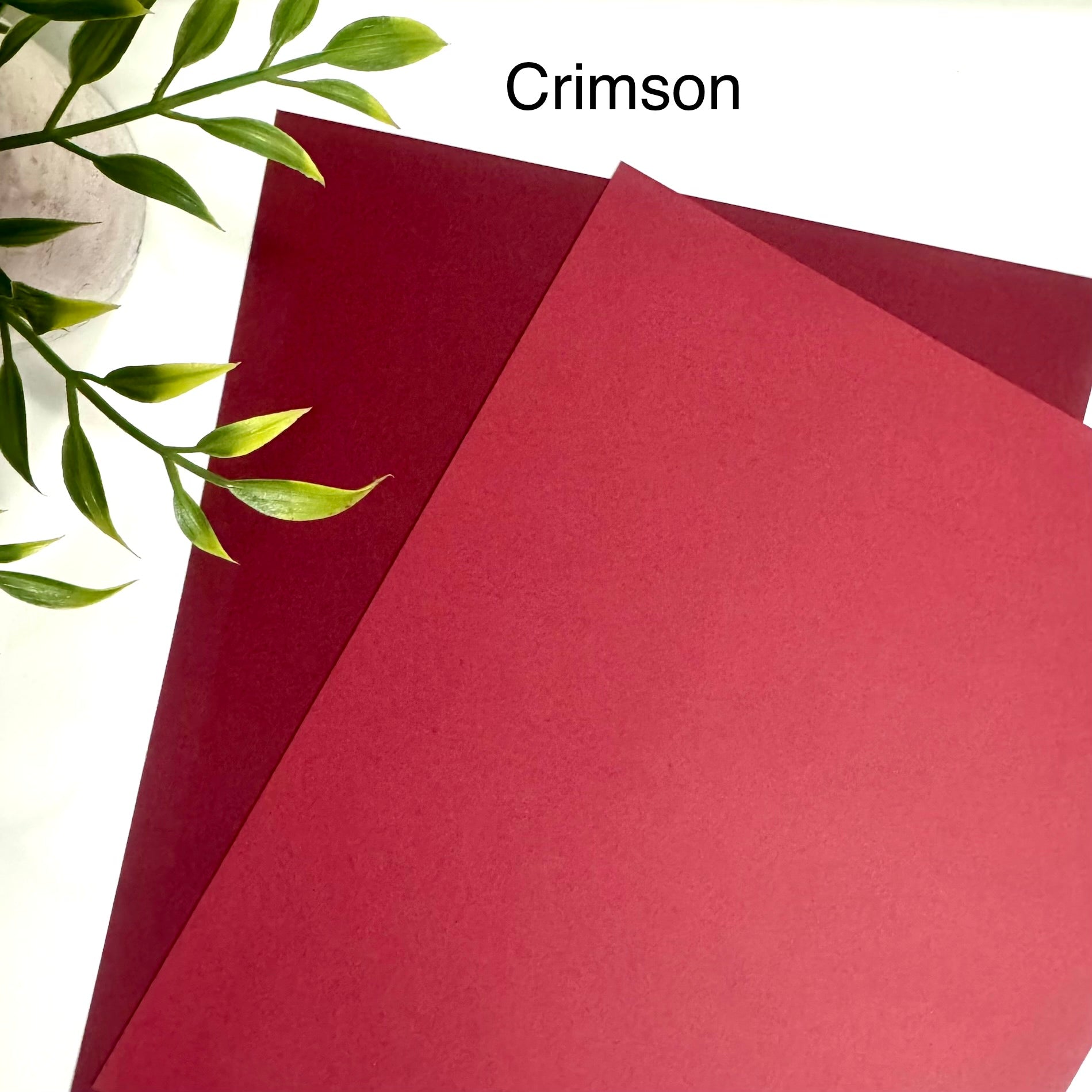 Tabbed Peek-A-Boo Cash Envelopes