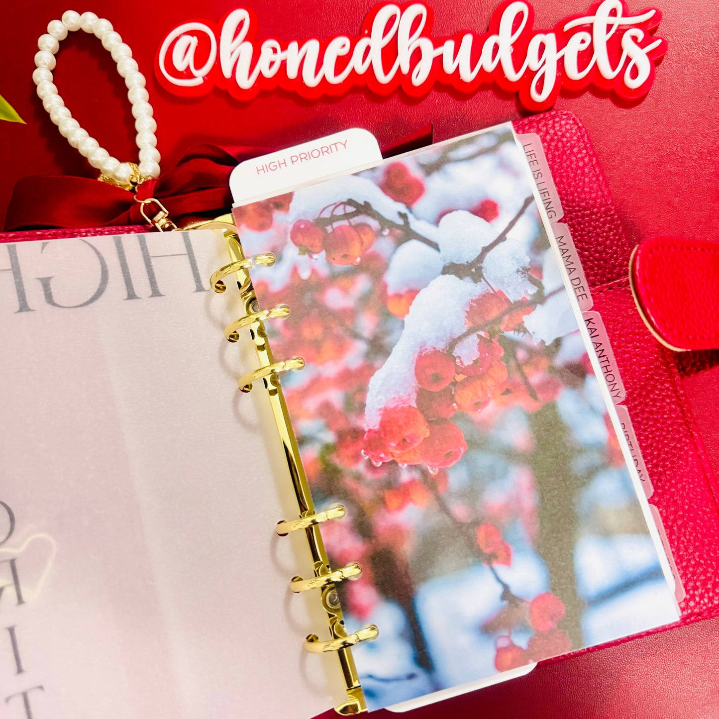 Winter Berries Binder Dashboard