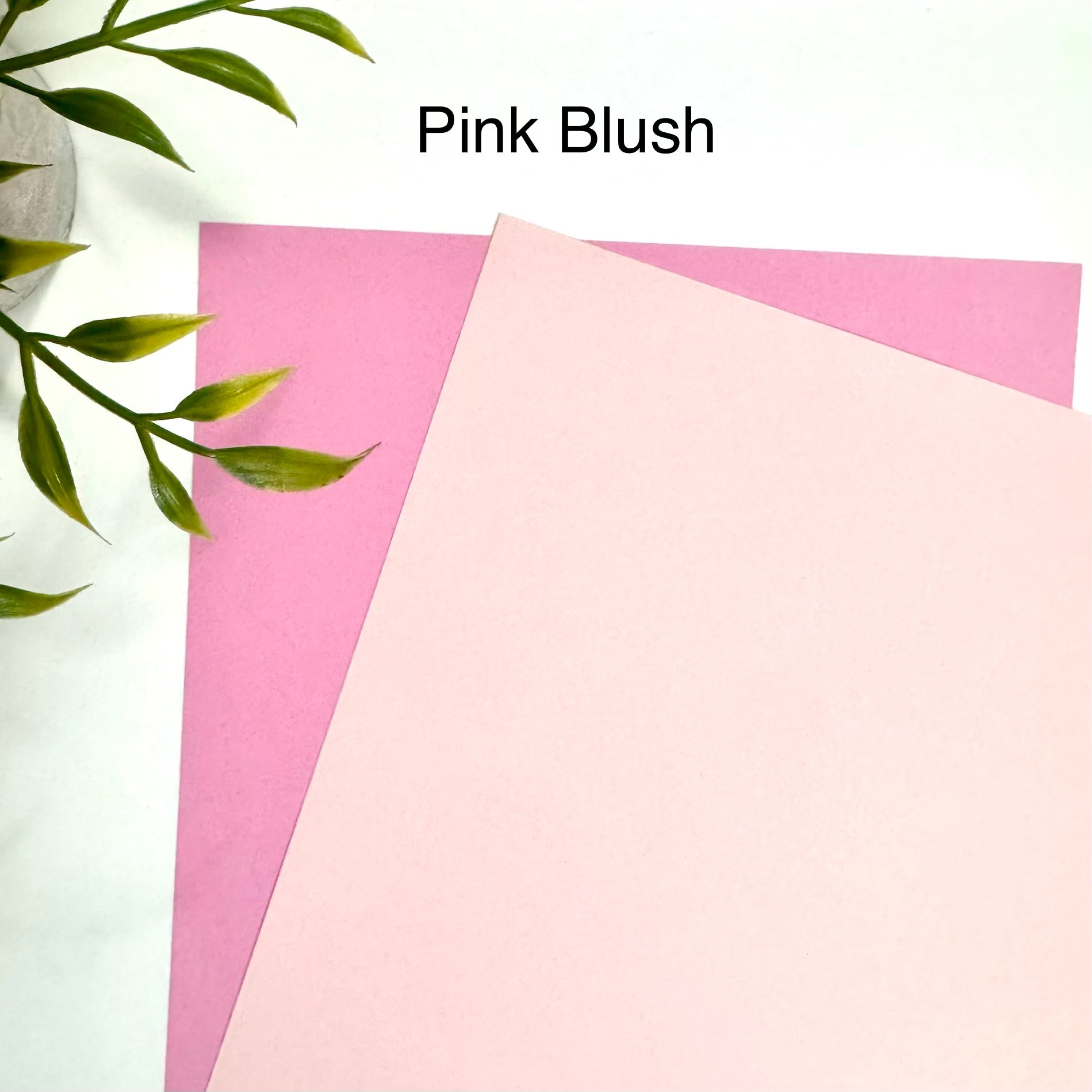 Tabbed Peek-A-Boo Cash Envelopes