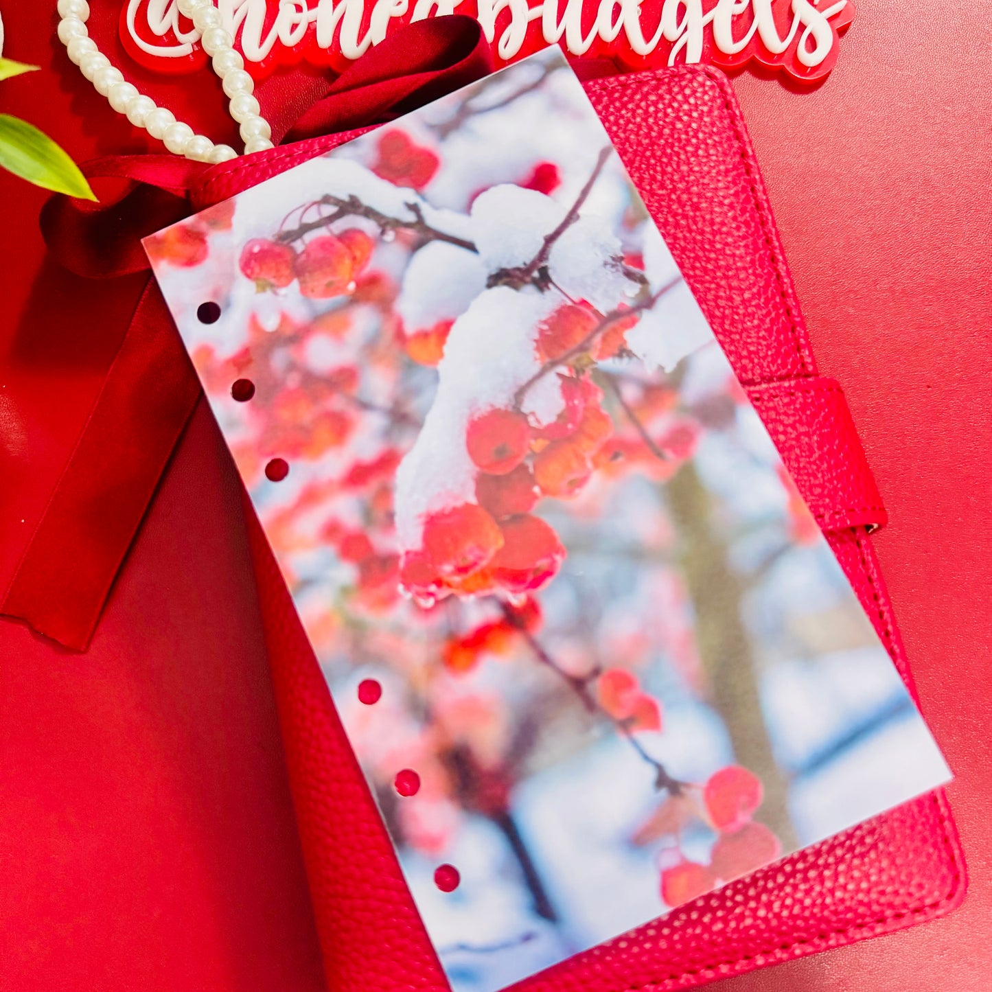 Winter Berries Binder Dashboard