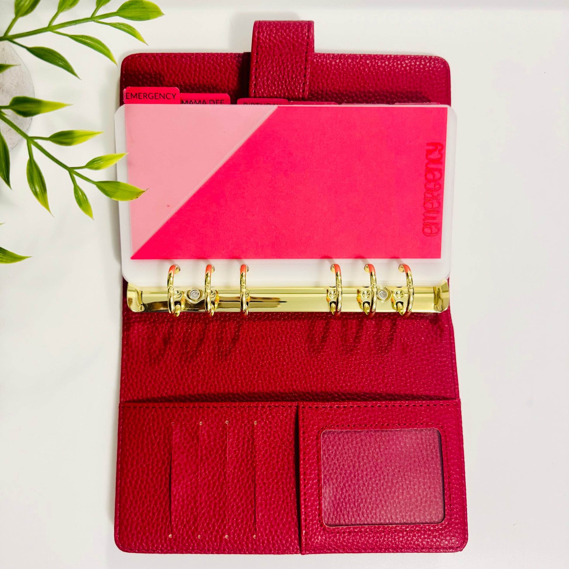 Tabbed Peek-A-Boo Cash Envelopes