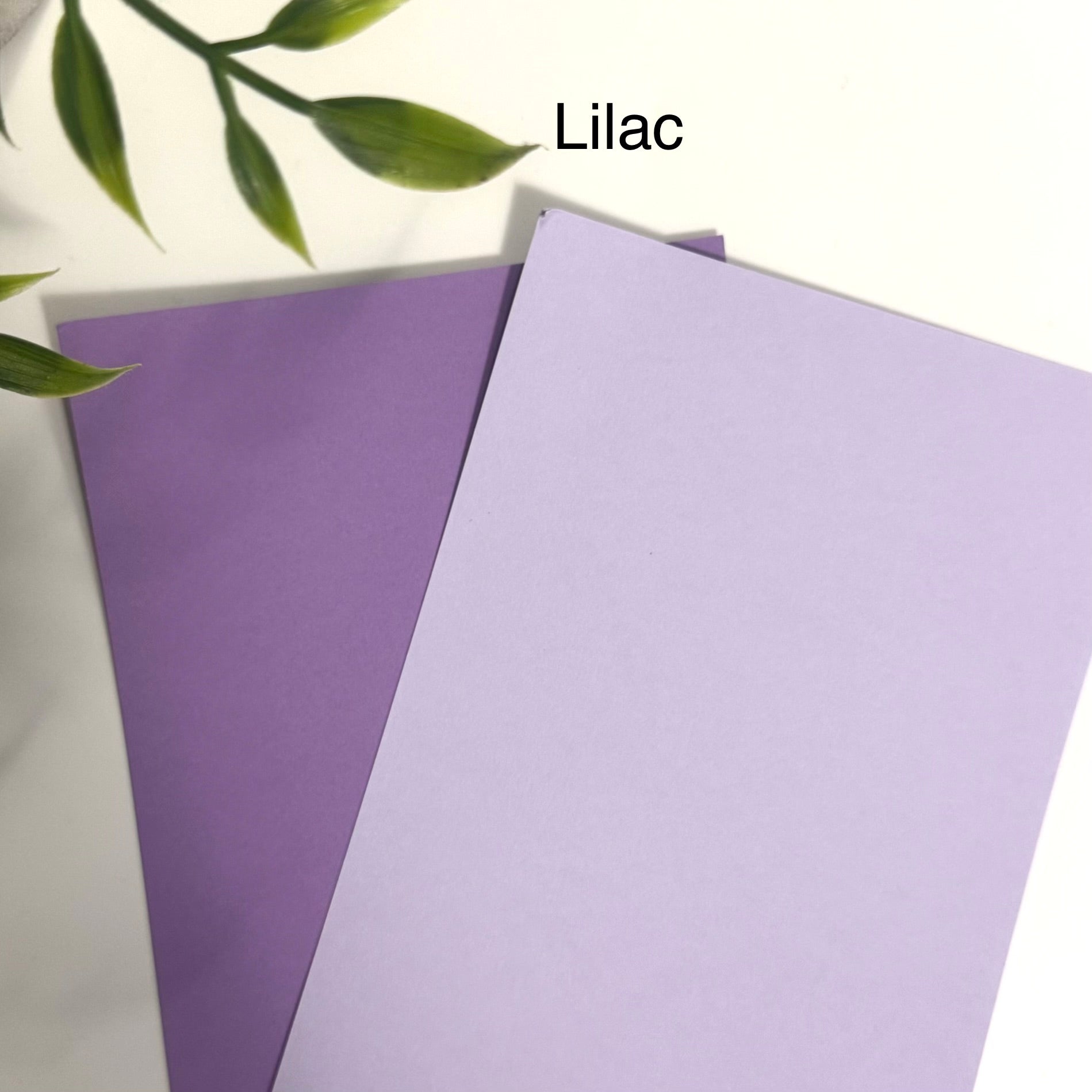 Tabbed Peek-A-Boo Cash Envelopes