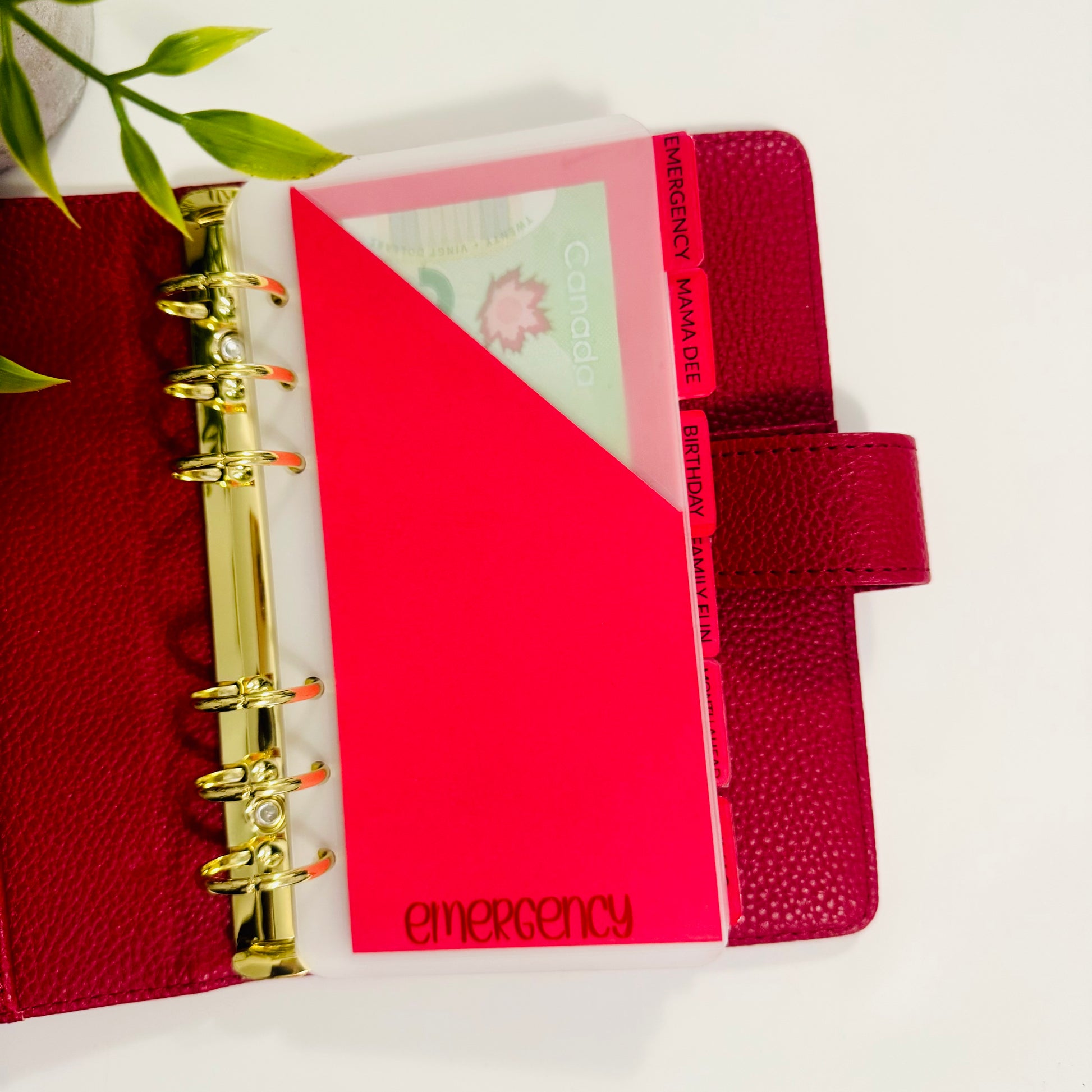Tabbed Peek-A-Boo Cash Envelopes