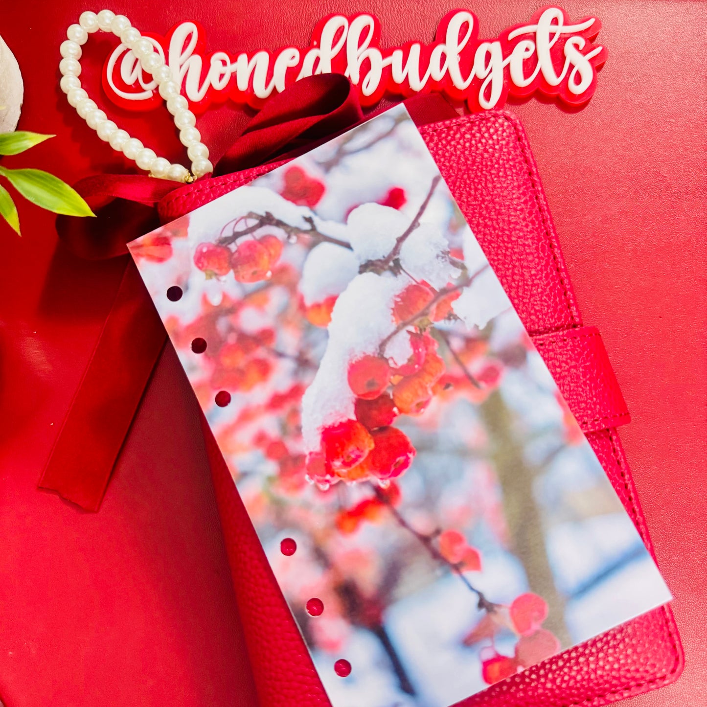 Winter Berries Binder Dashboard