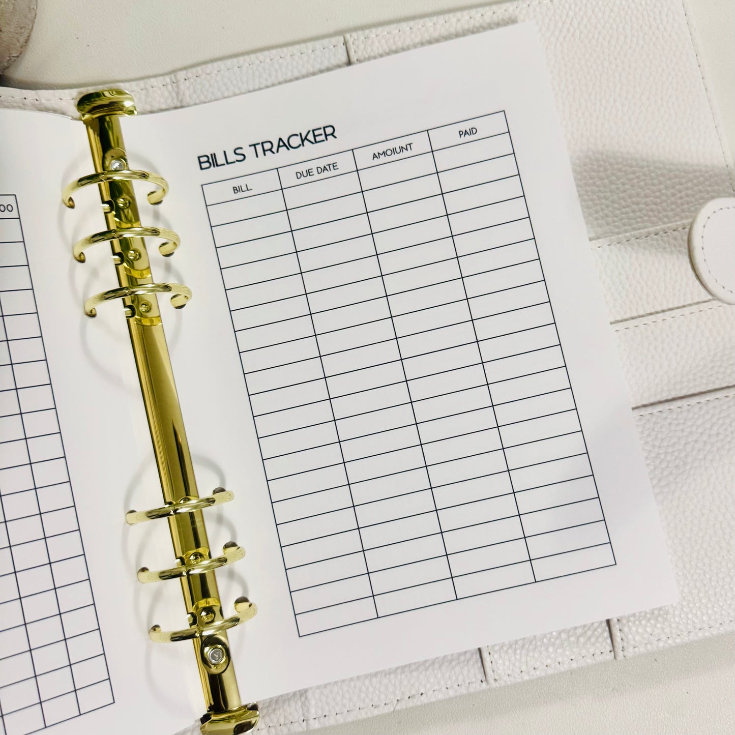 A5 Budget Planner Inserts