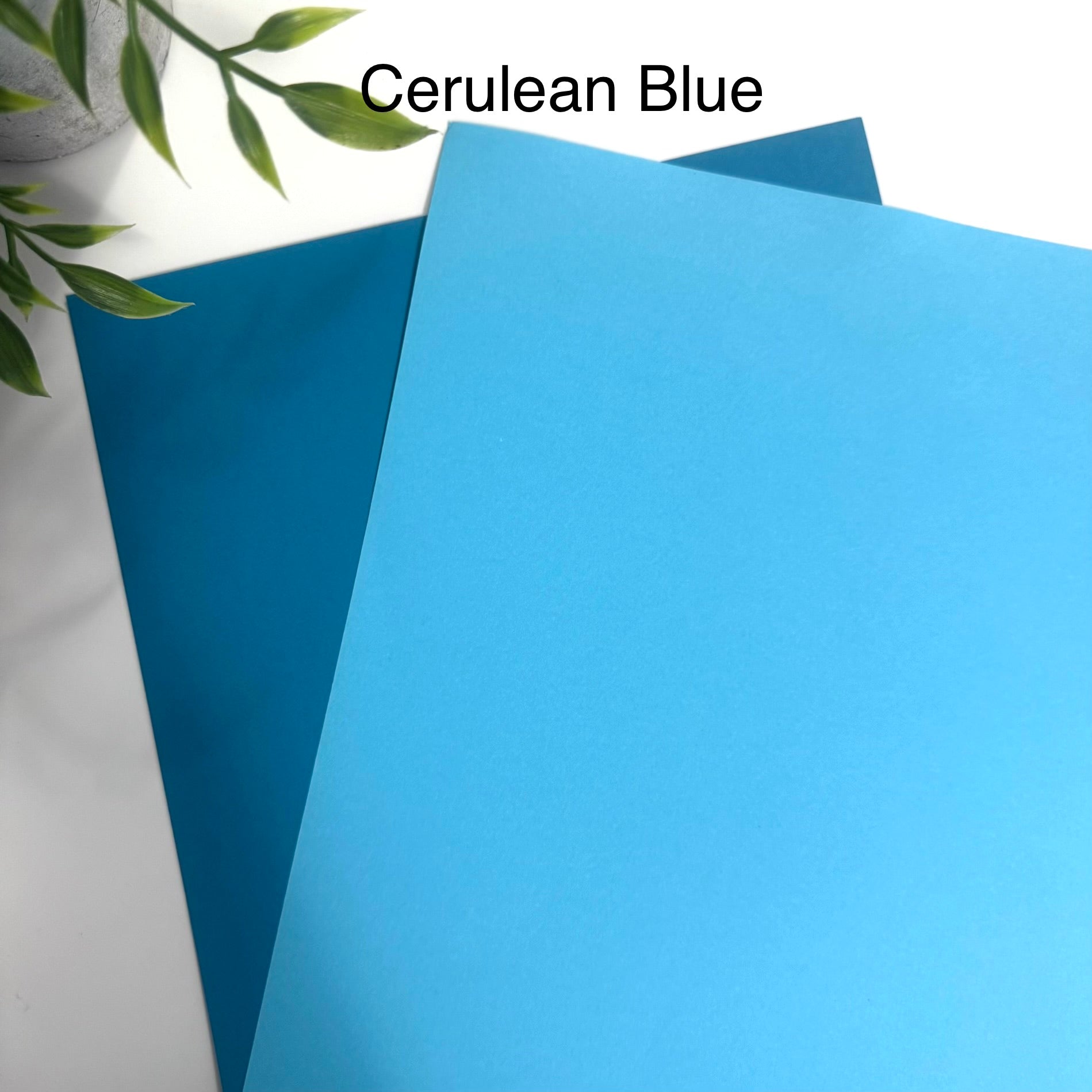 Tabbed Peek-A-Boo Cash Envelopes