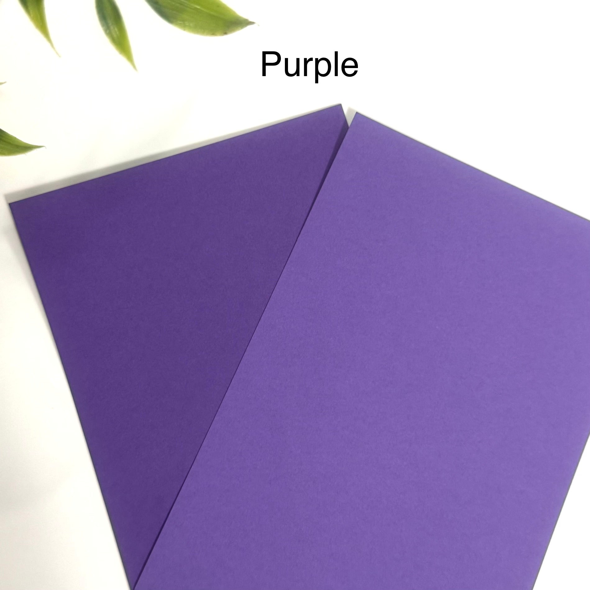 Tabbed Peek-A-Boo Cash Envelopes