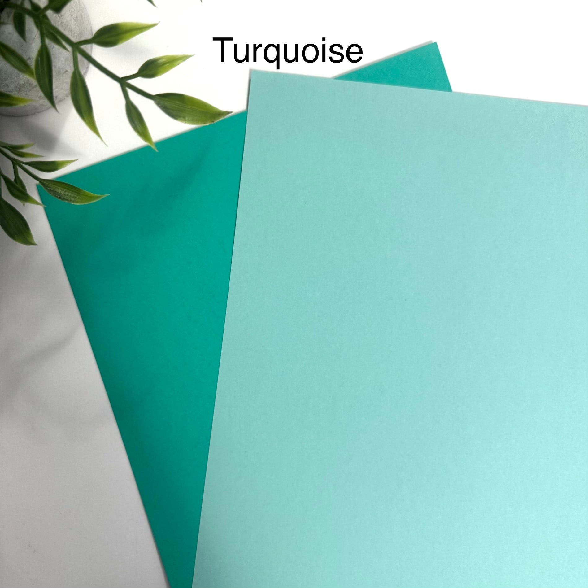 Tabbed Peek-A-Boo Cash Envelopes