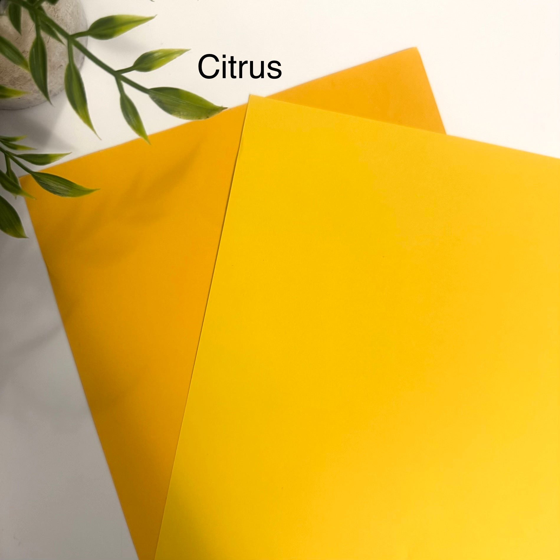 Tabbed Peek-A-Boo Cash Envelopes