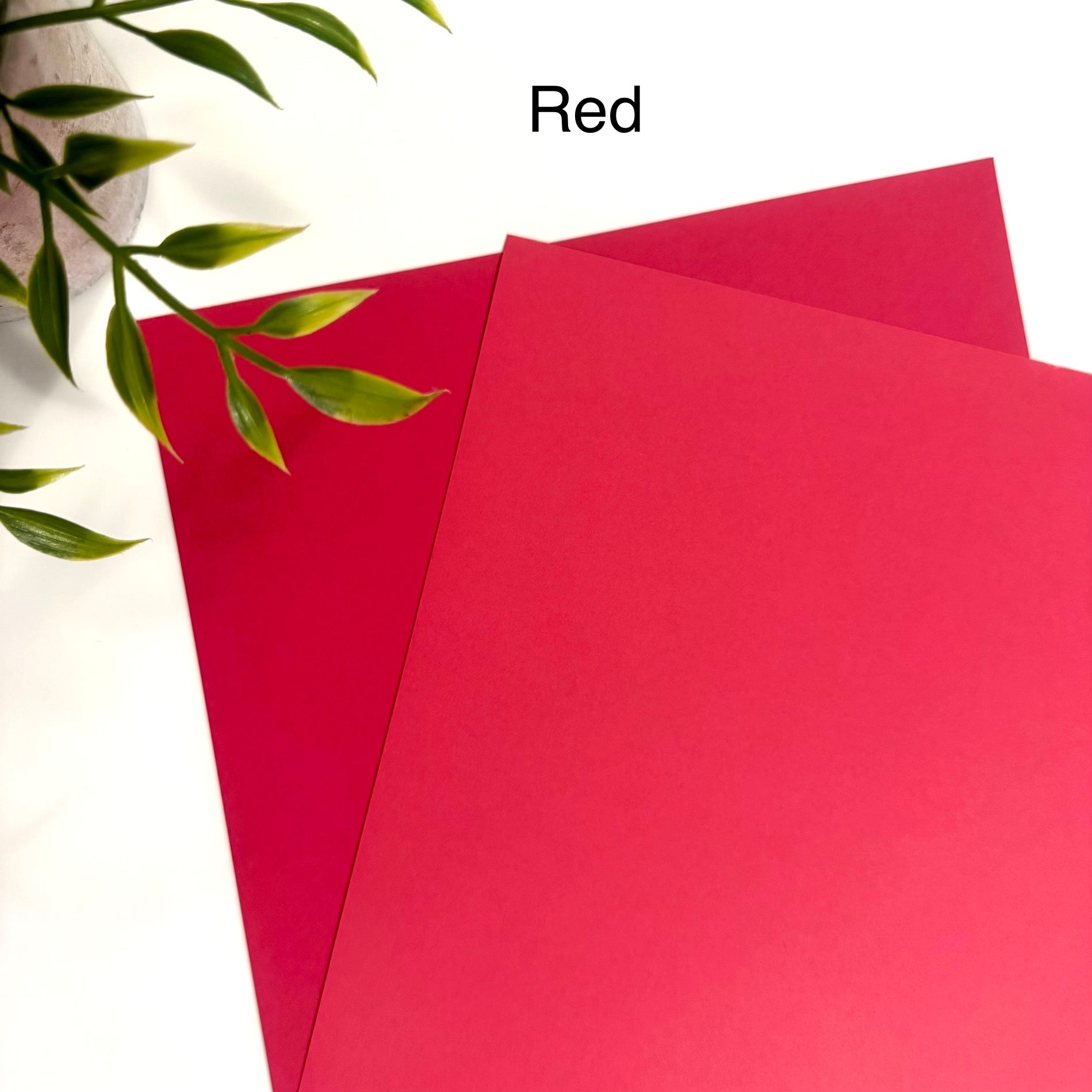 Tabbed Peek-A-Boo Cash Envelopes