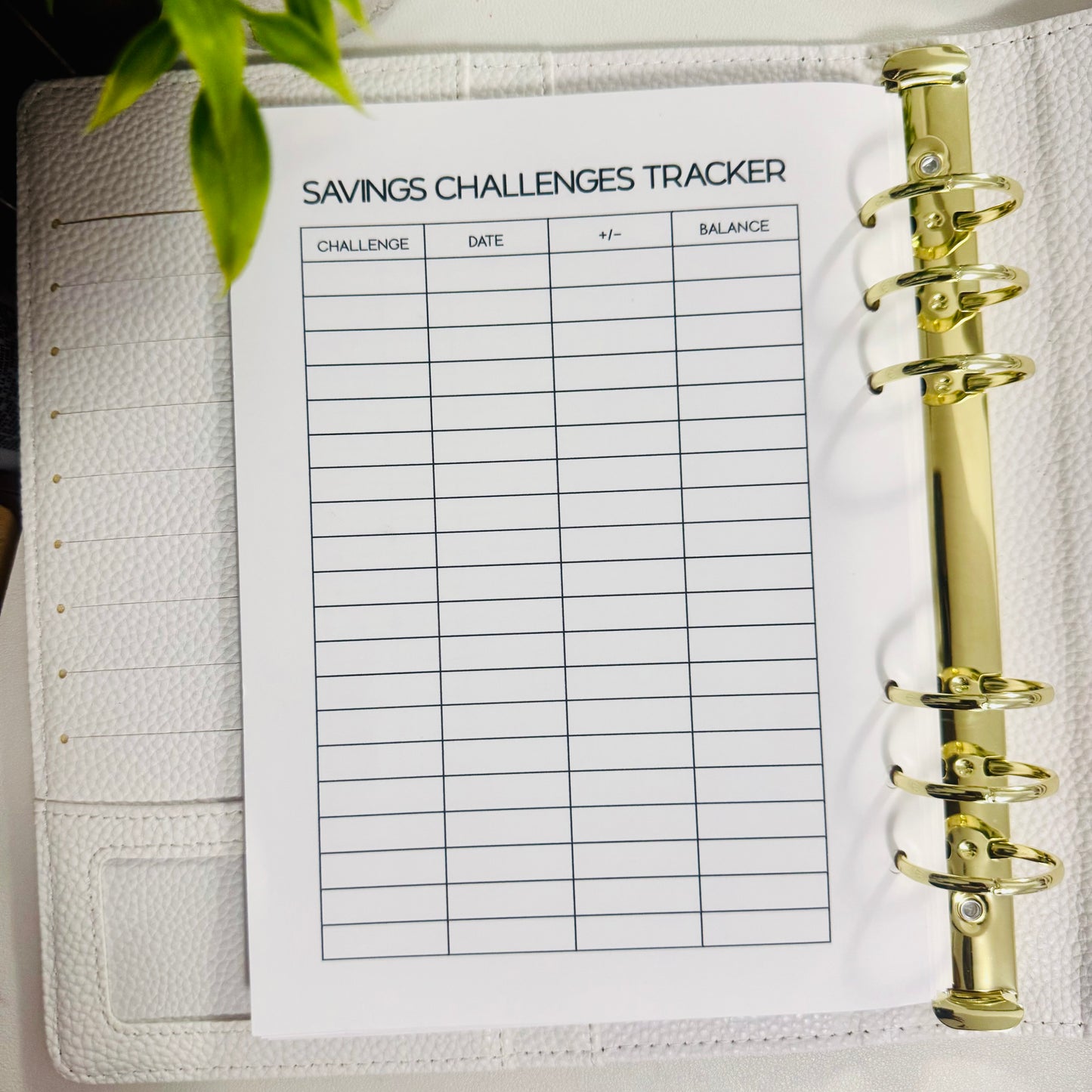 A5 Budget Planner Inserts