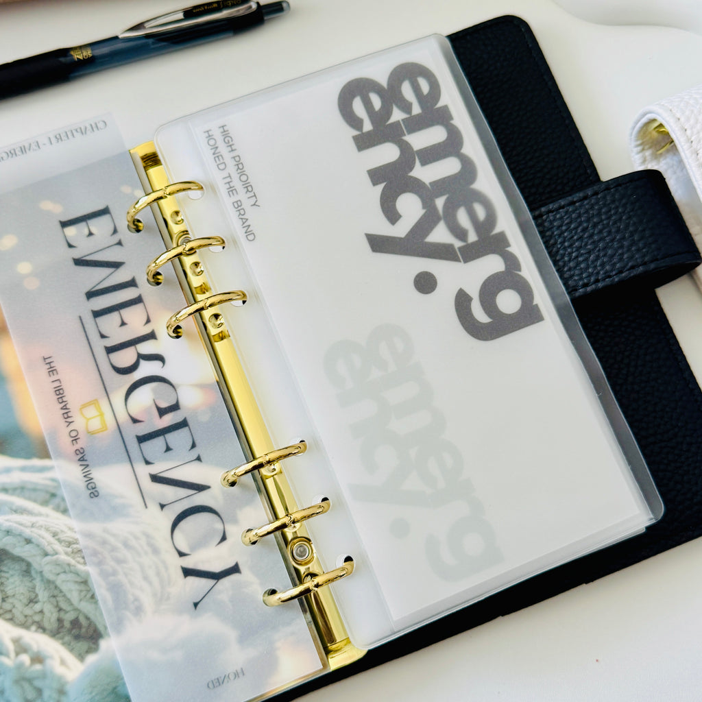 Double Bold Cash Envelope Inserts
