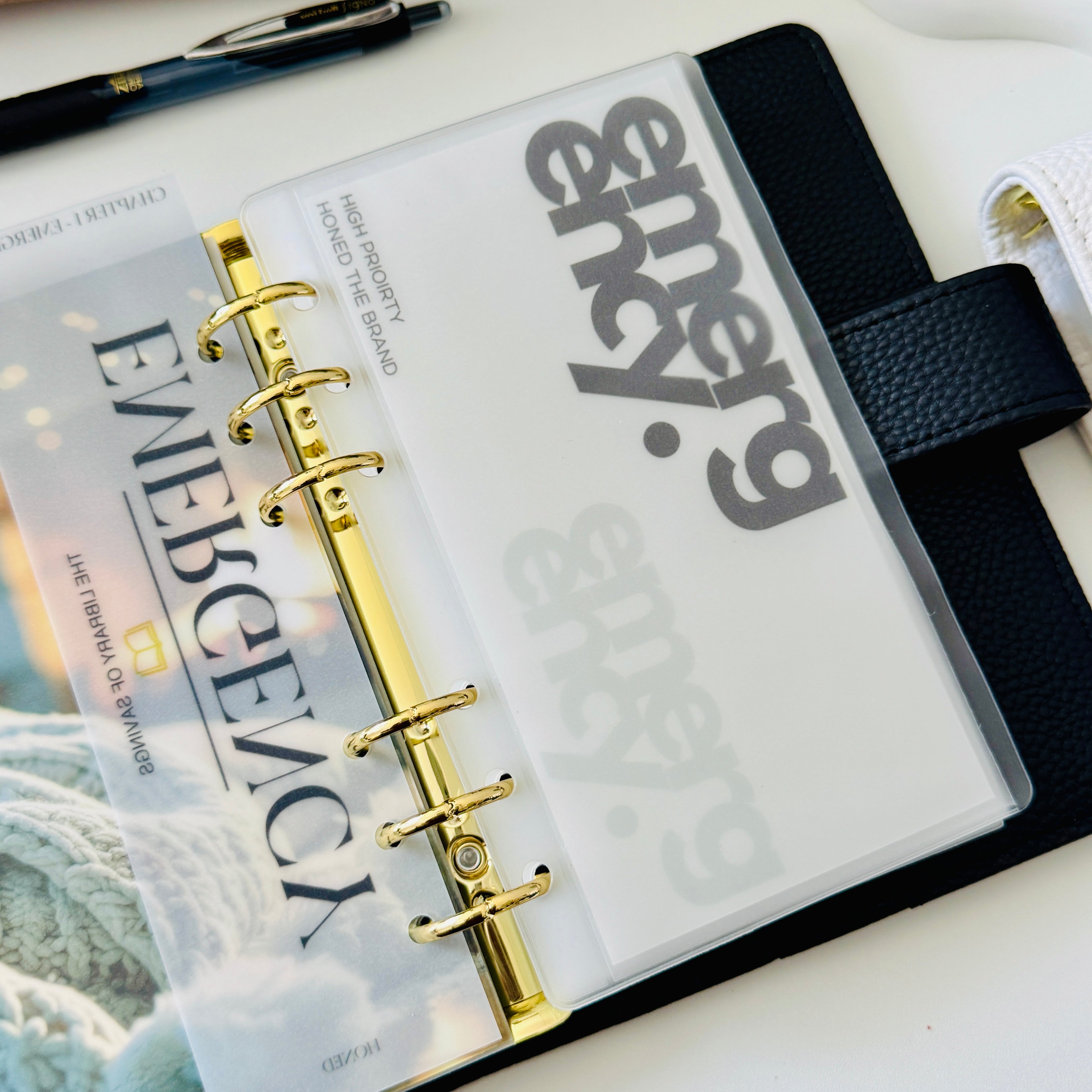 Double Bold Cash Envelope Inserts
