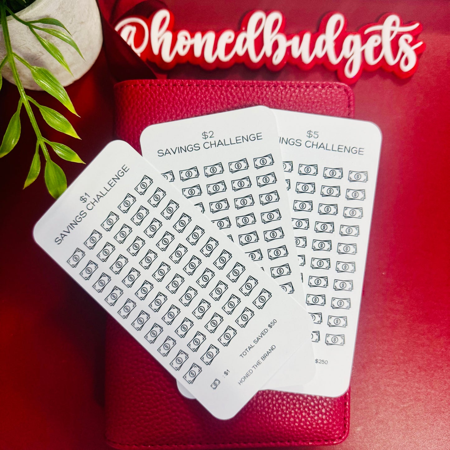 Beginner Budgeter Savings Challenge Bundle