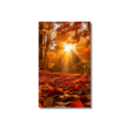 Autumn Leaves Dashboard