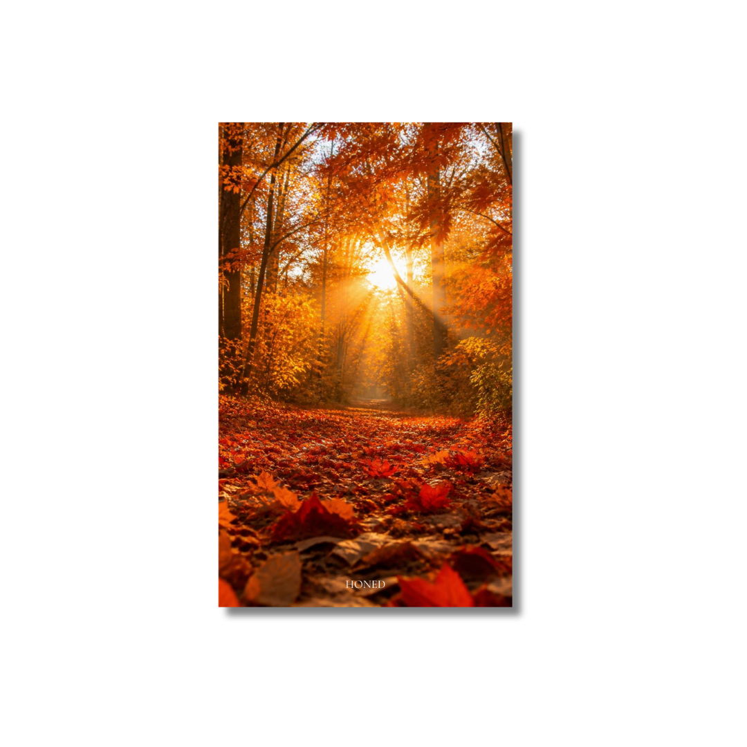 Autumn Leaves Dashboard