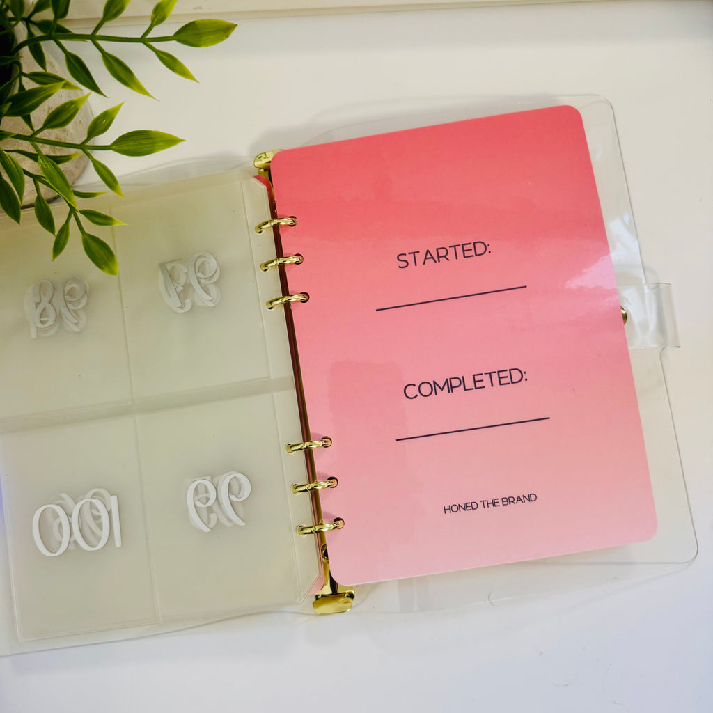 (Imperfect) 100 Envelopes Savings Challenge Binder