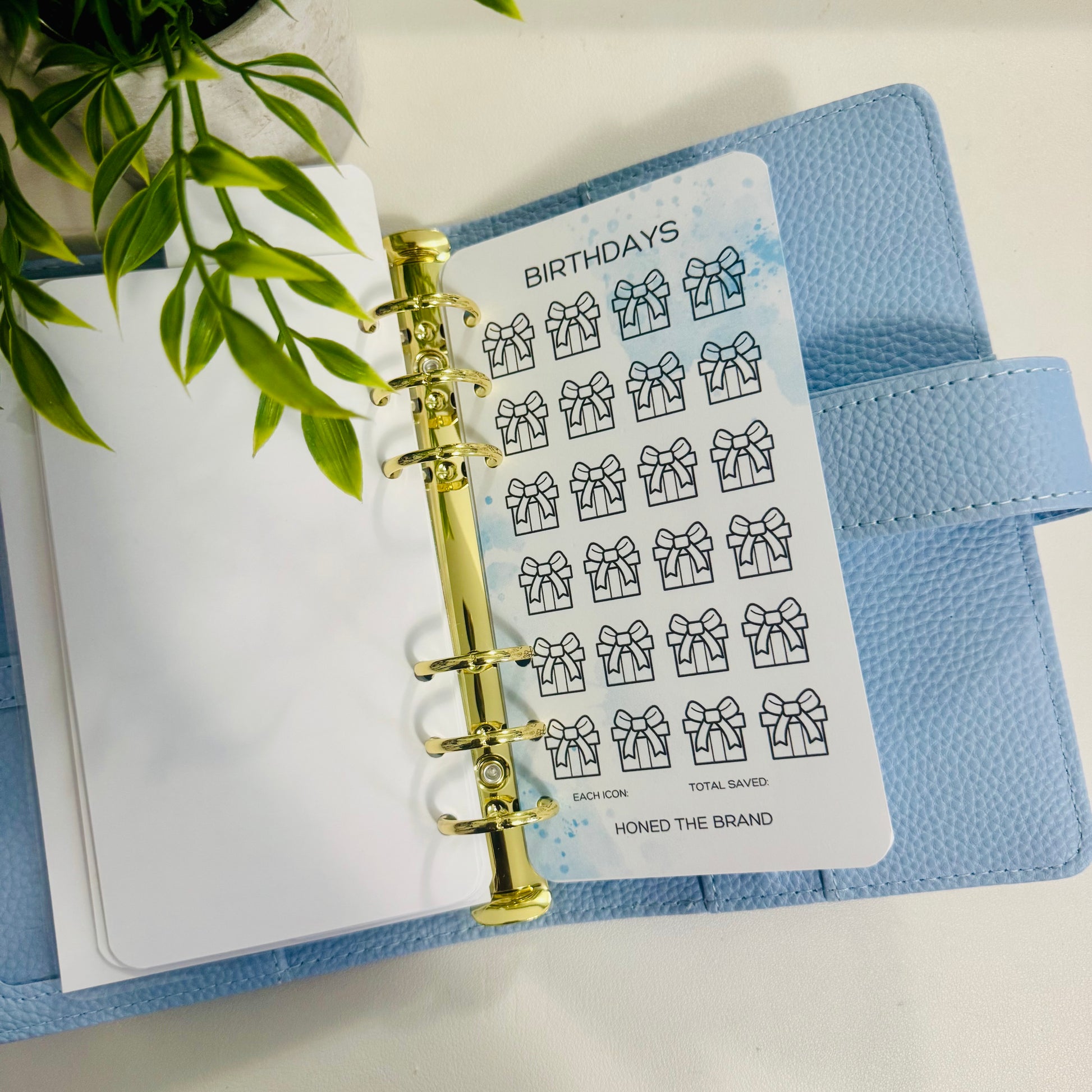 Beginner Budgeter Savings Challenge Bundle