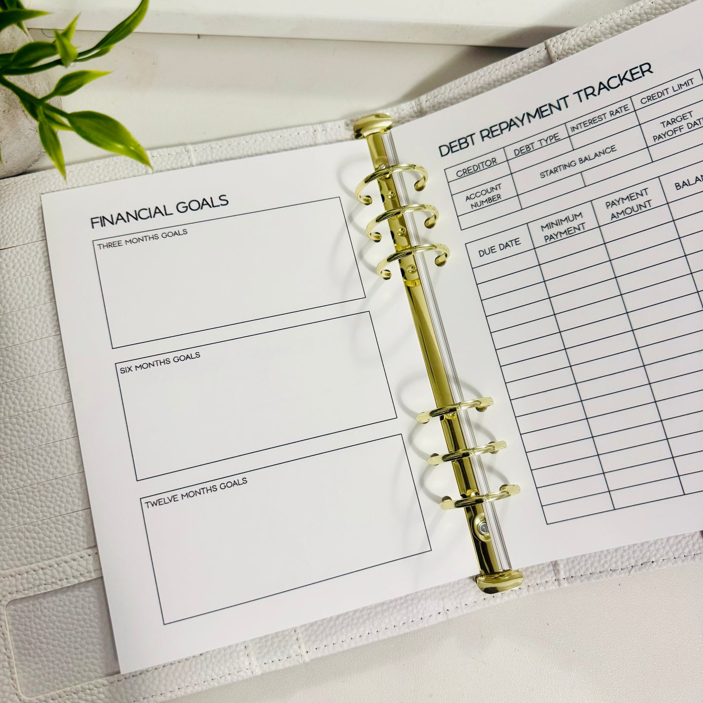 A5 Budget Planner Inserts