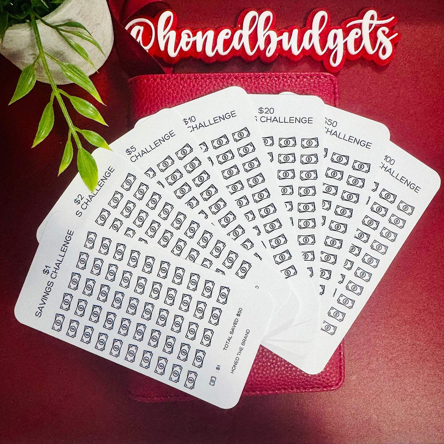 Beginner Budgeter Savings Challenge Bundle