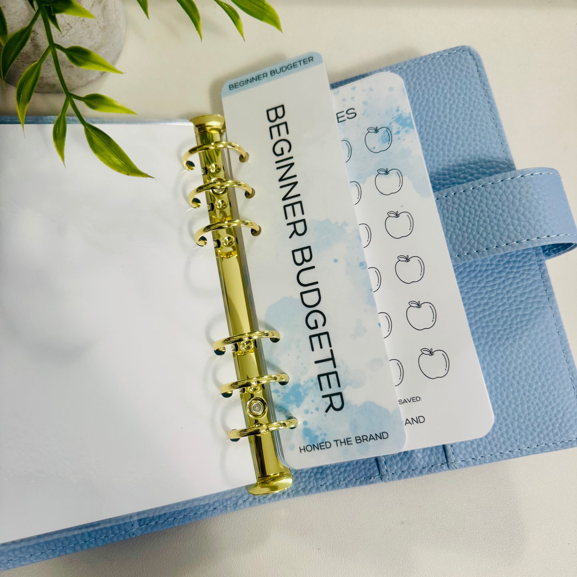 Beginner Budgeter Savings Challenge Bundle