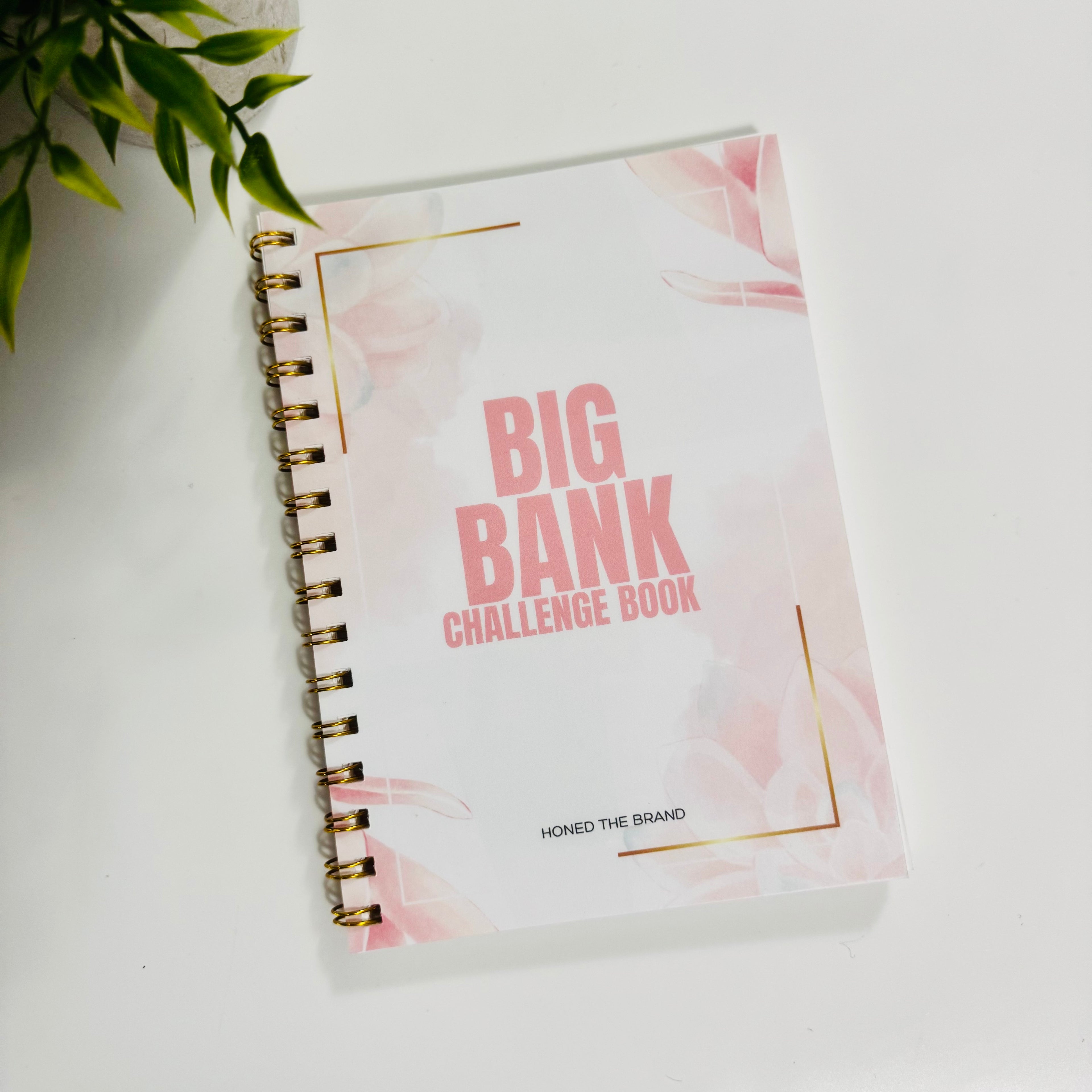 Big Bank Challenge Book