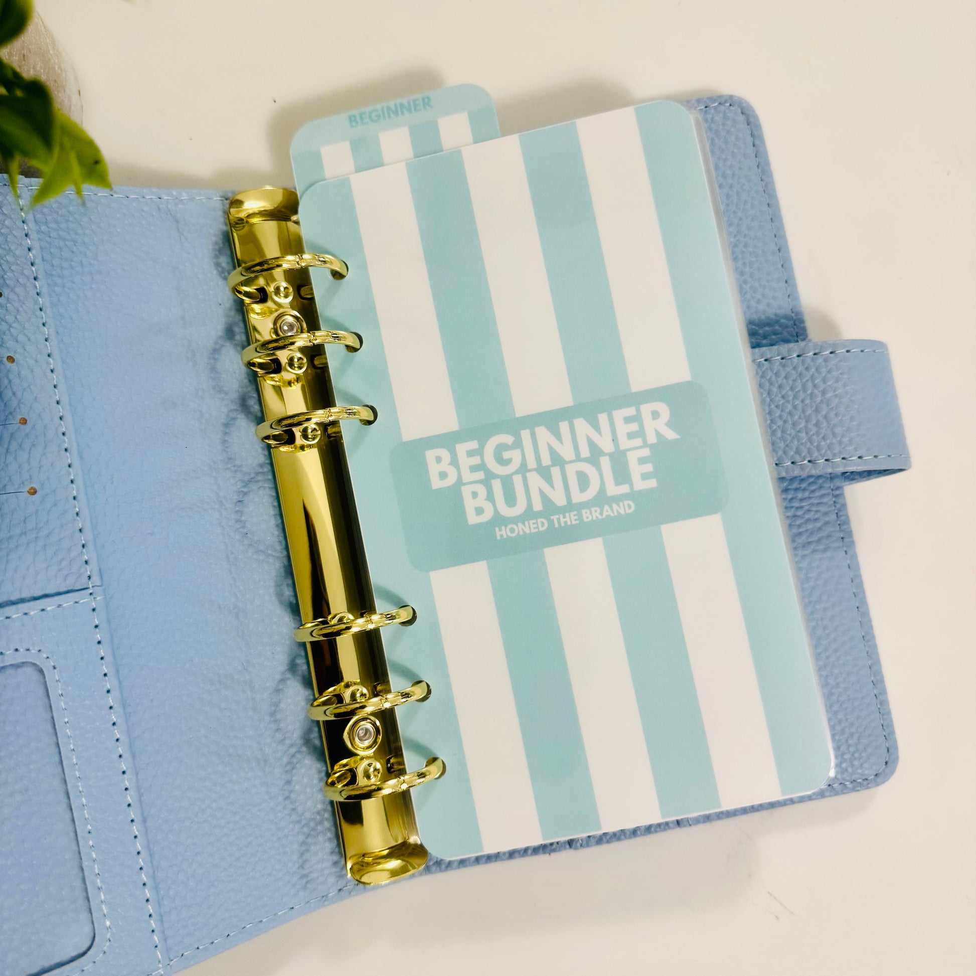 Beginner Budgeter Savings Challenge Bundle