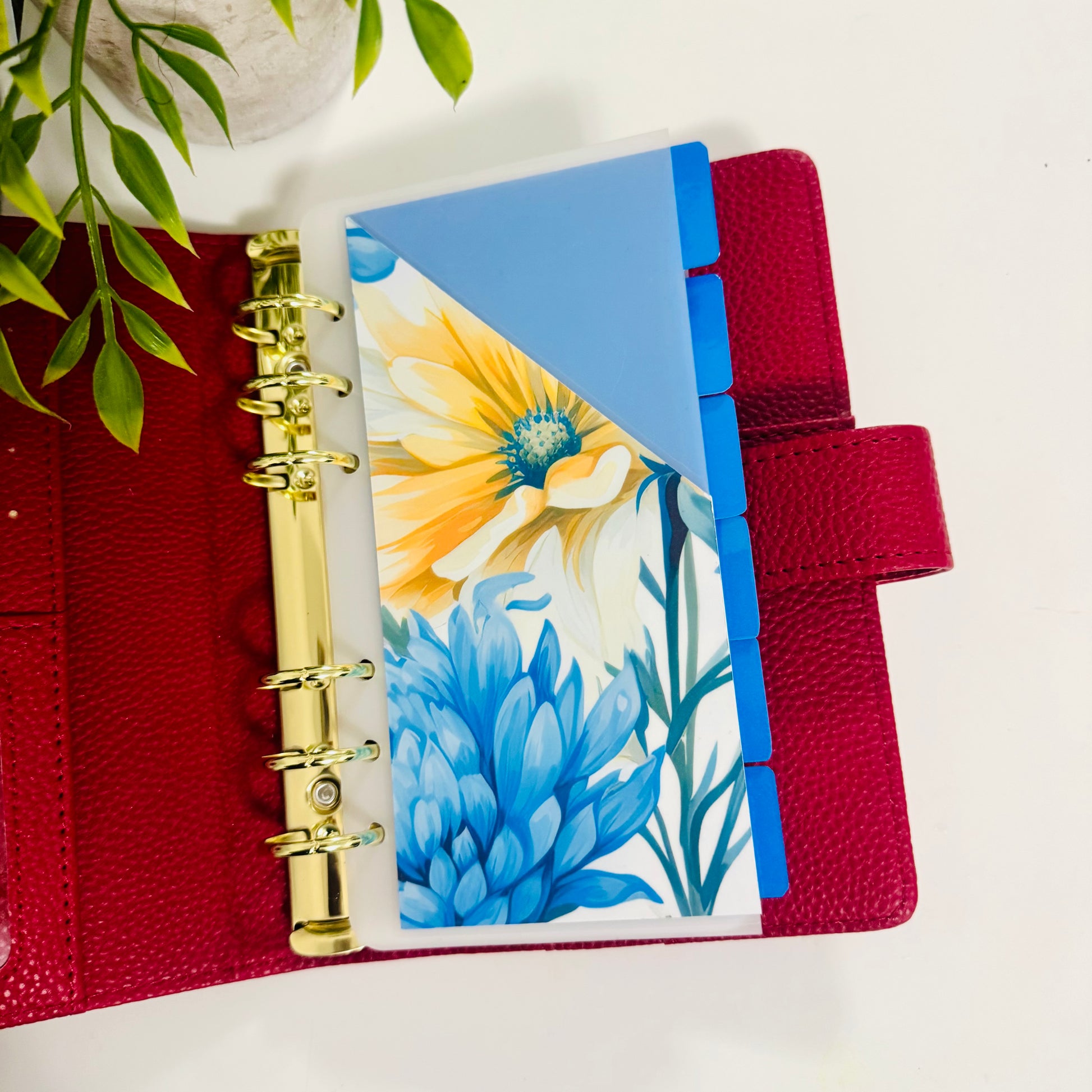 Tabbed Peek-A-Boo Cash Envelopes