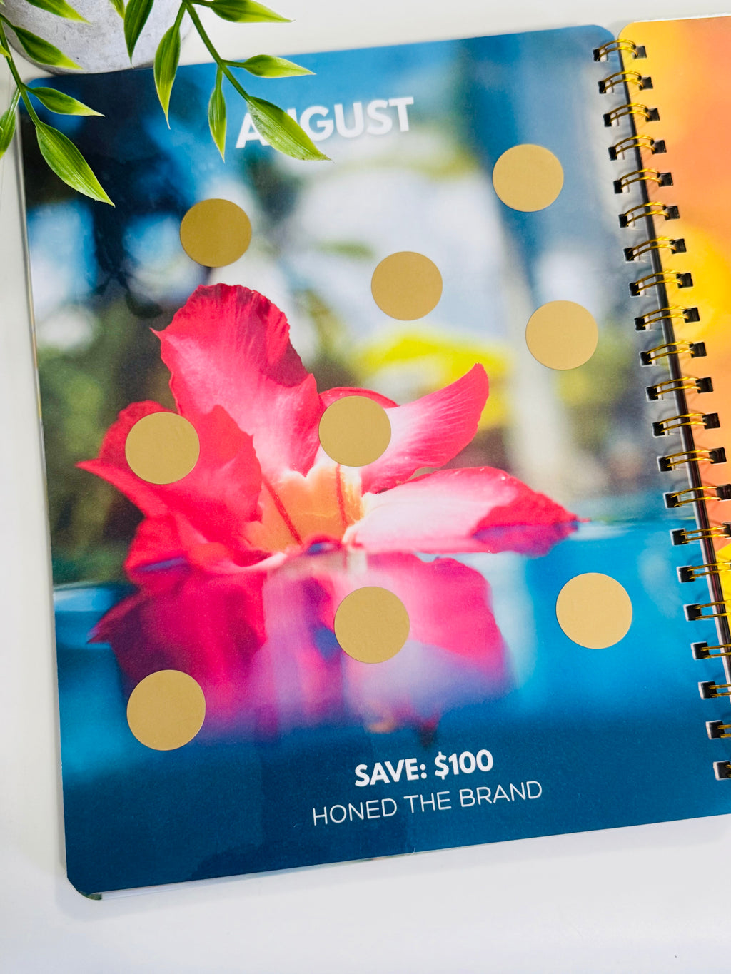 Monthly Scratch & Save Challenge Book