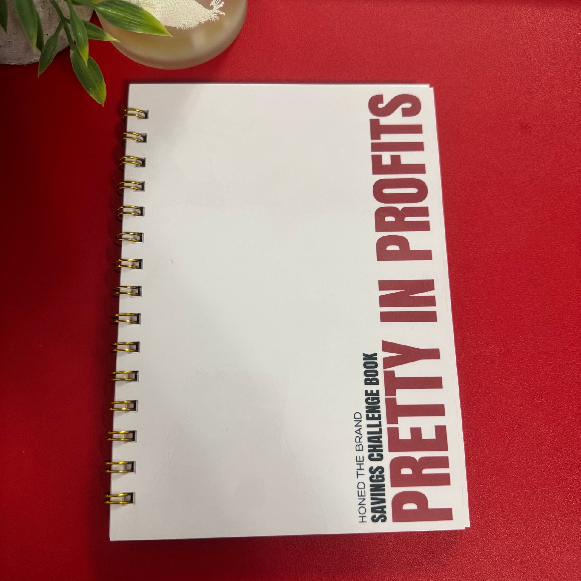 Pretty In Profits Challenge Book