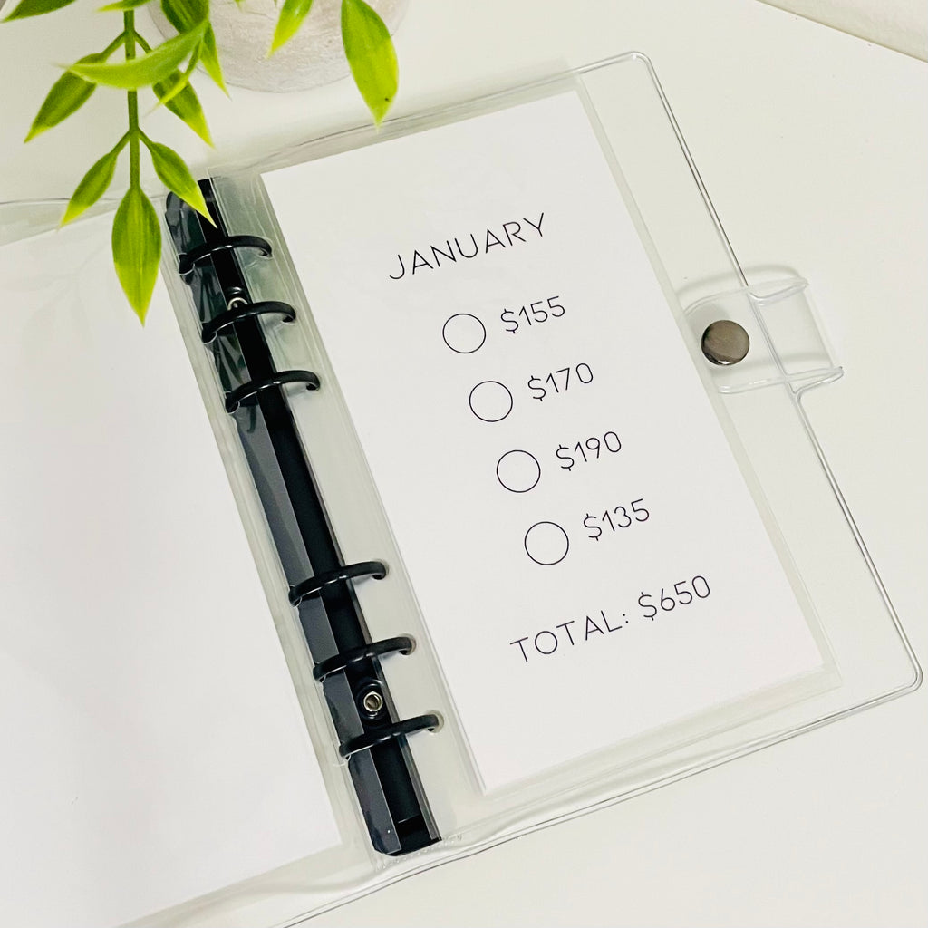 Minimal Monthly Savings Challenge