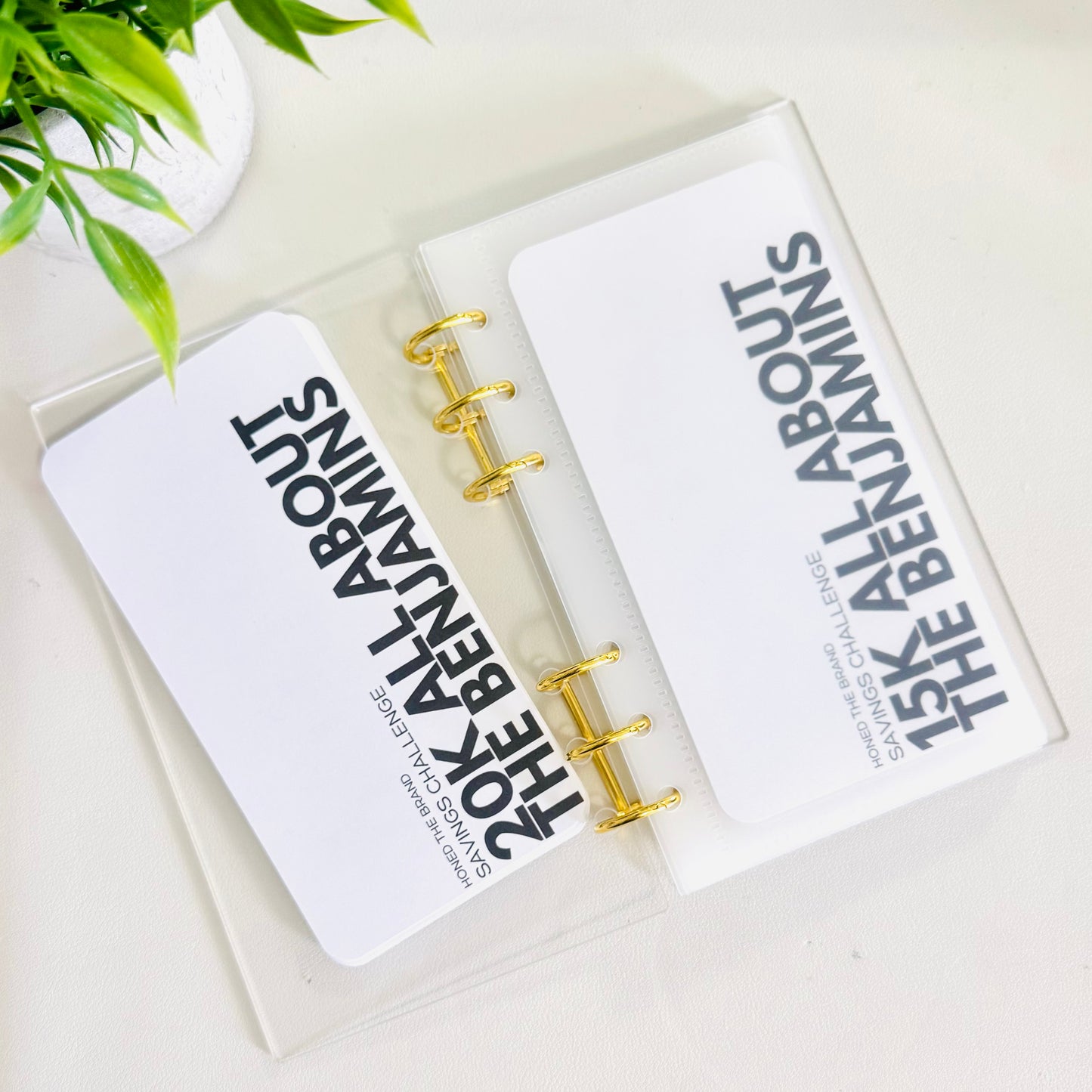 All About The Benjamins Savings Challenge