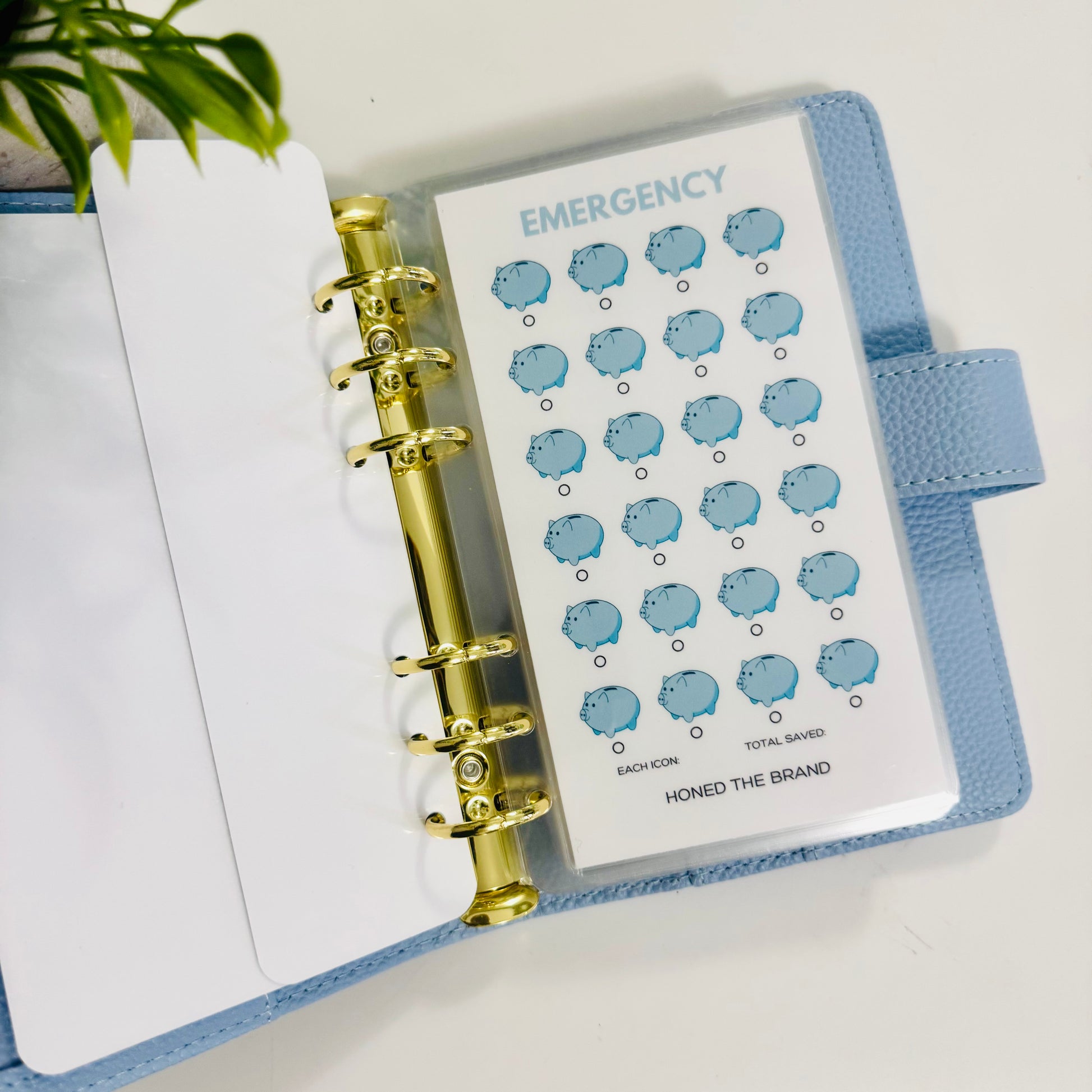 Beginner Budgeter Savings Challenge Bundle