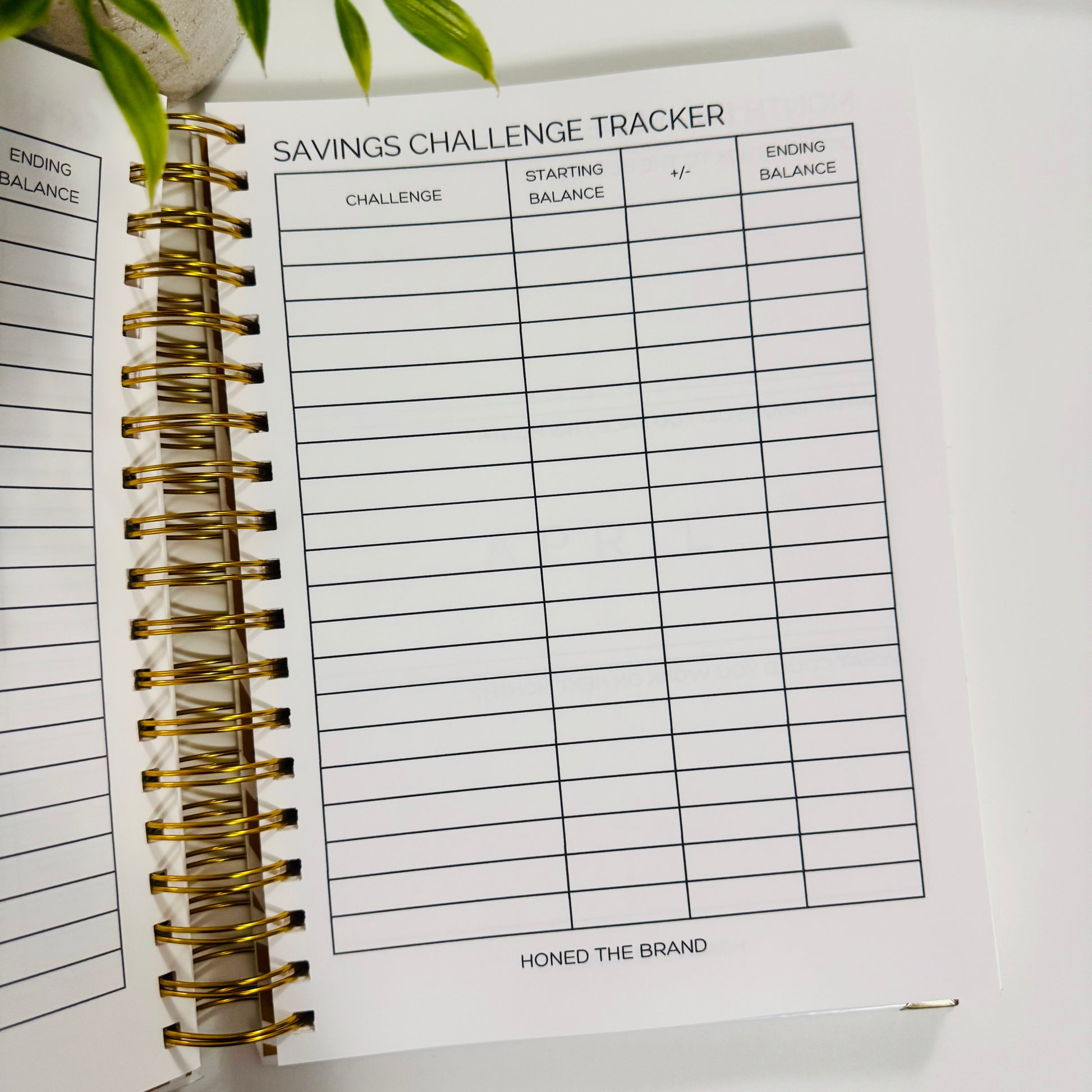 Coil Budget Planner
