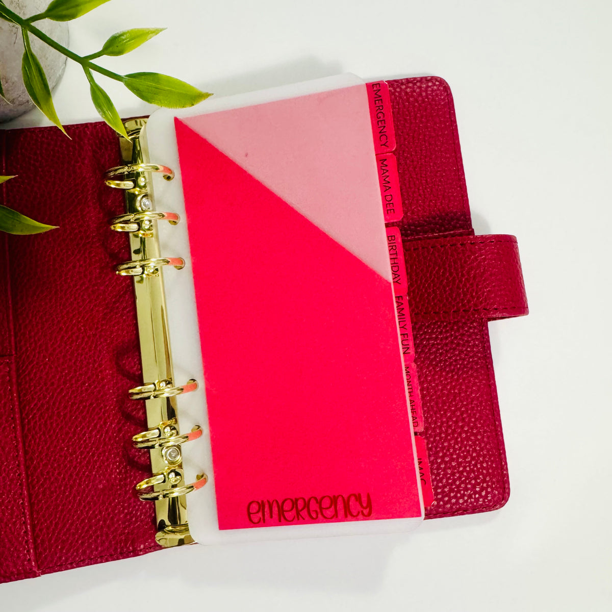 Tabbed Peek-A-Boo Cash Envelopes