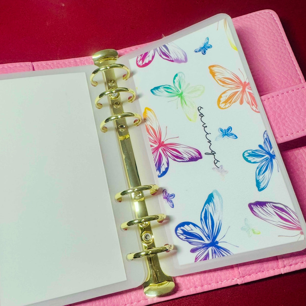 Rainbow Butterfly Cash Envelopes