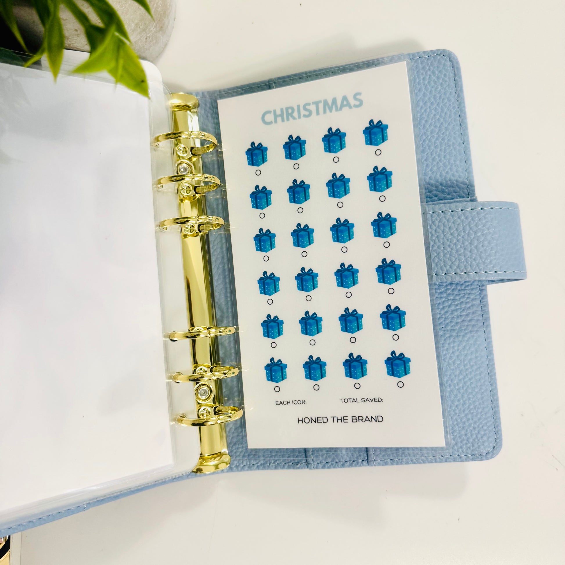 Beginner Budgeter Savings Challenge Bundle
