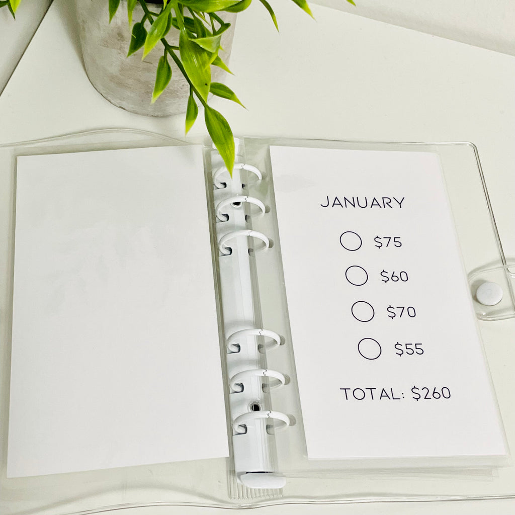 Minimal Monthly Savings Challenge