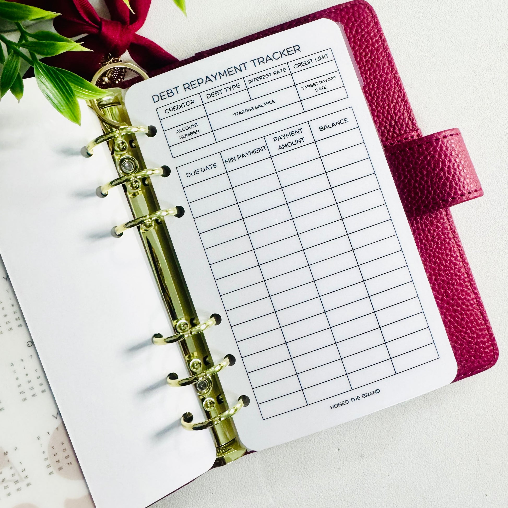 Debt Repayment Tracker