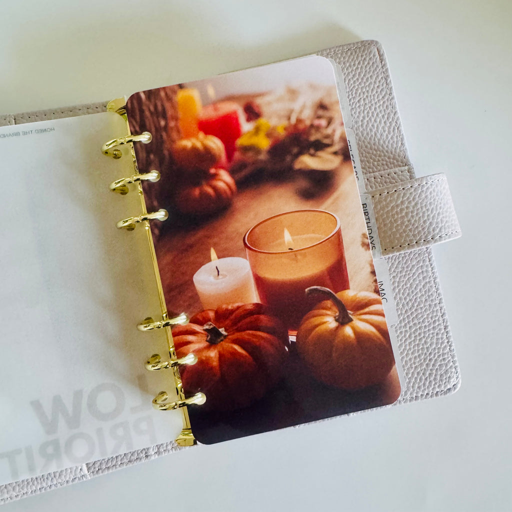 Fall Binder Dashboard