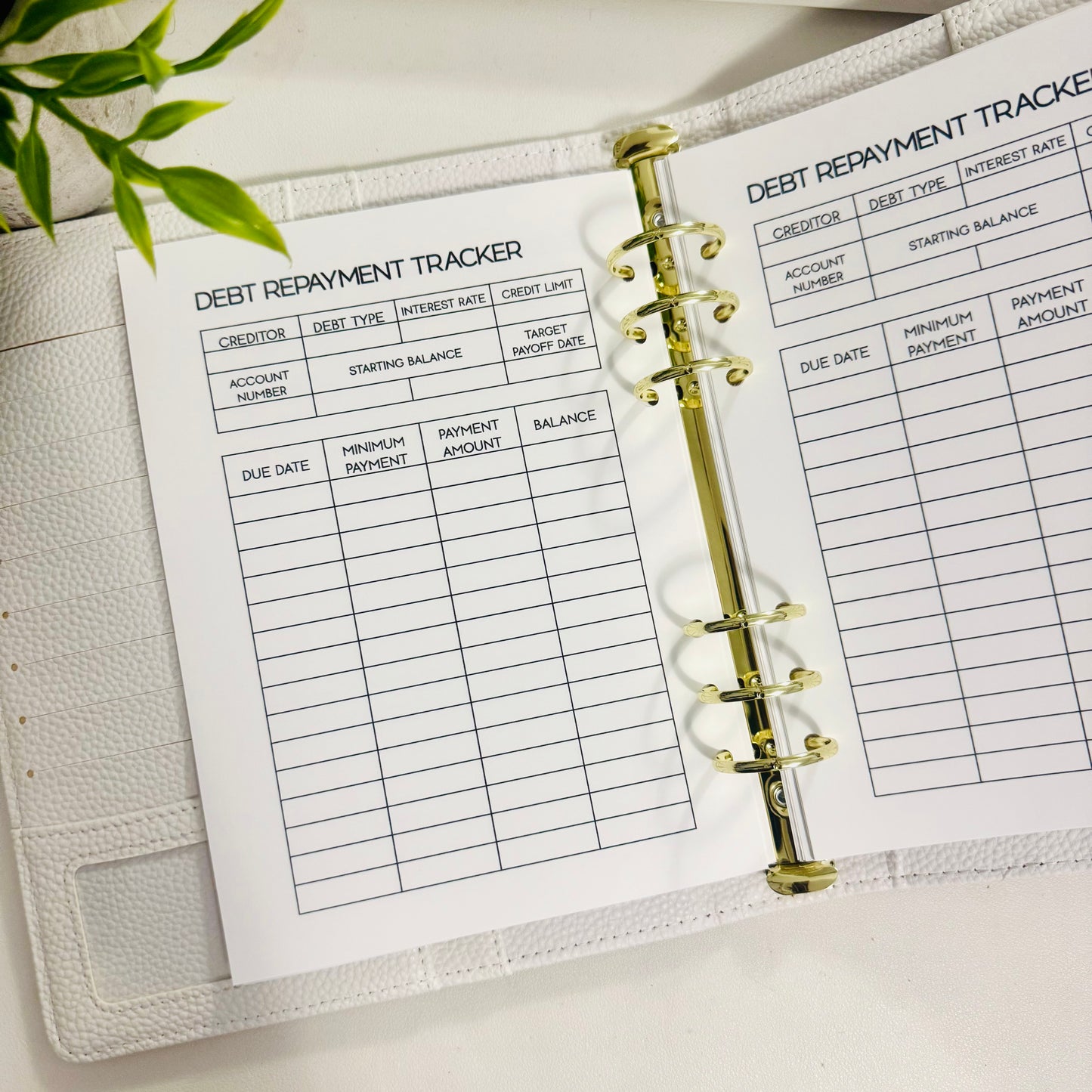 A5 Budget Planner Inserts