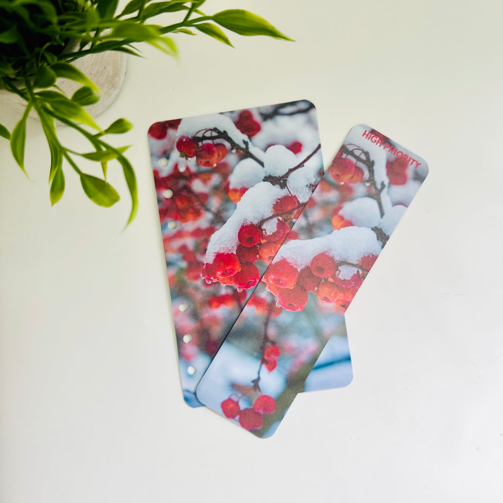 Double Sided Winter Binder Dashboard