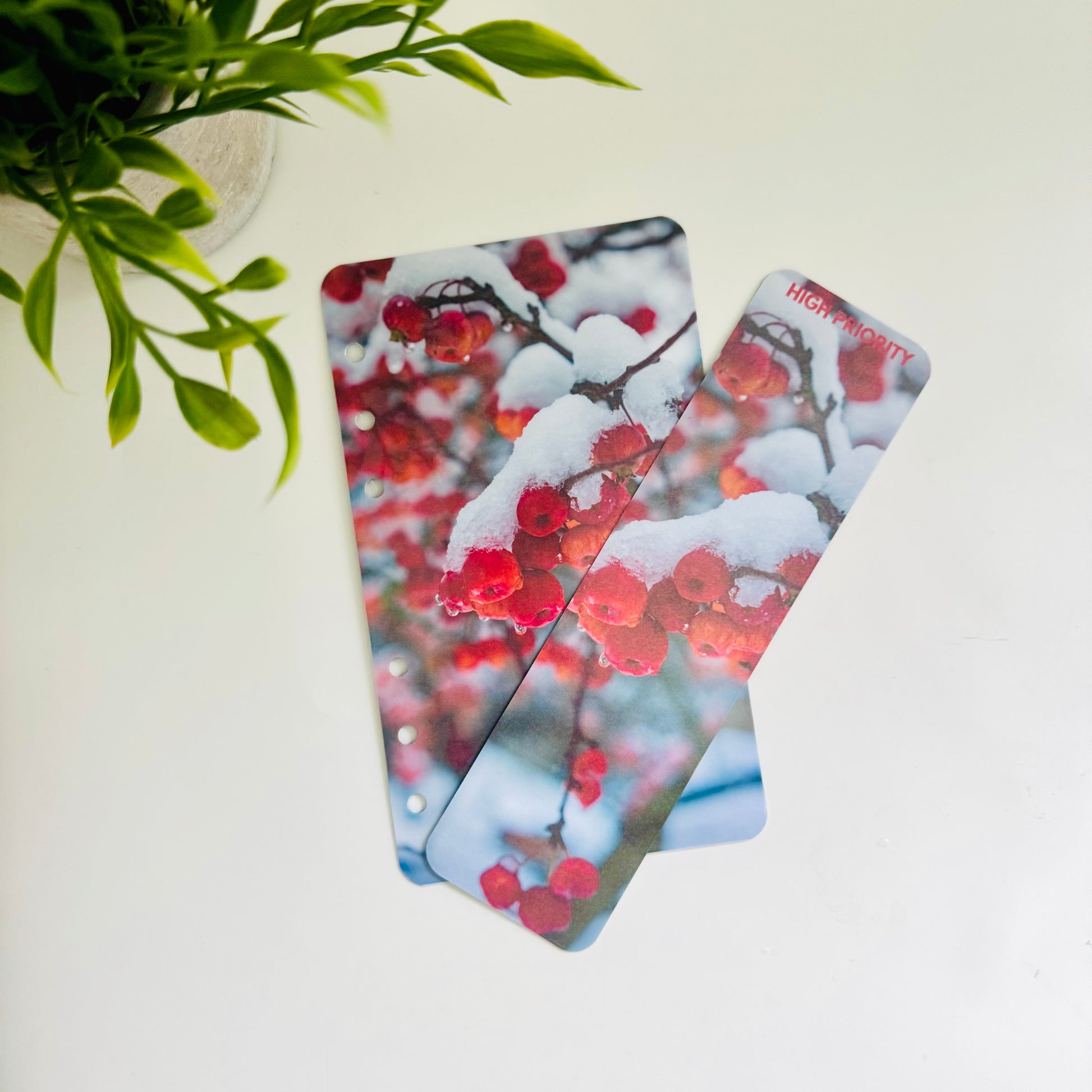 Double Sided Winter Binder Dashboard