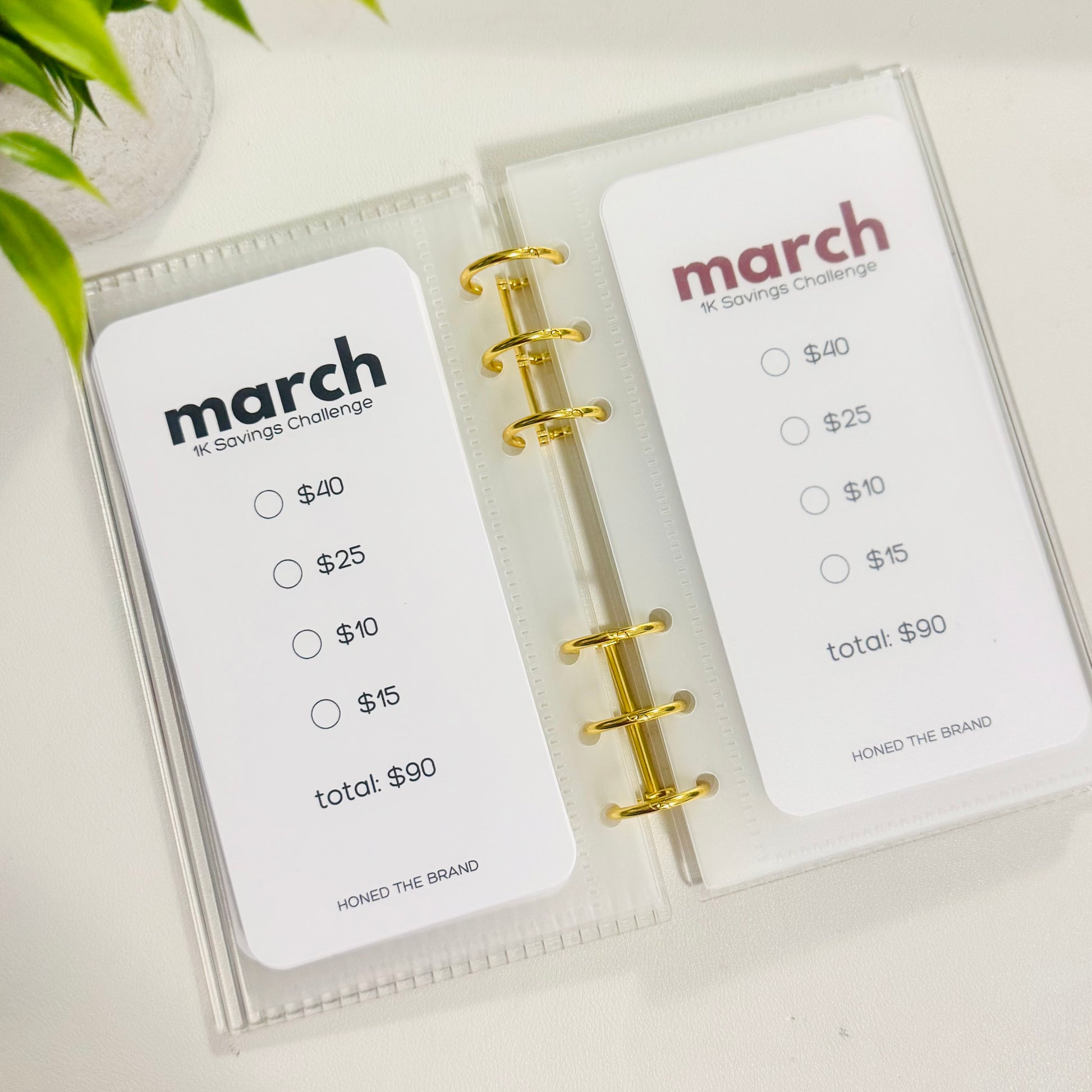 Monthly Savings Challenge