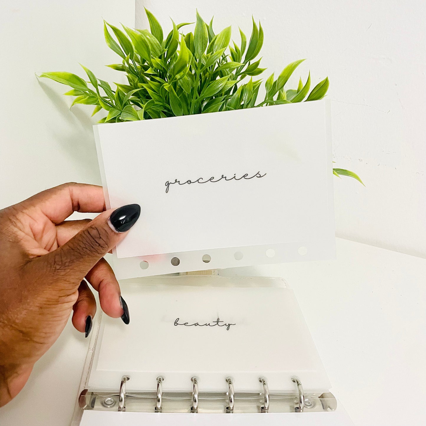 Matte Vellum Cash Envelopes