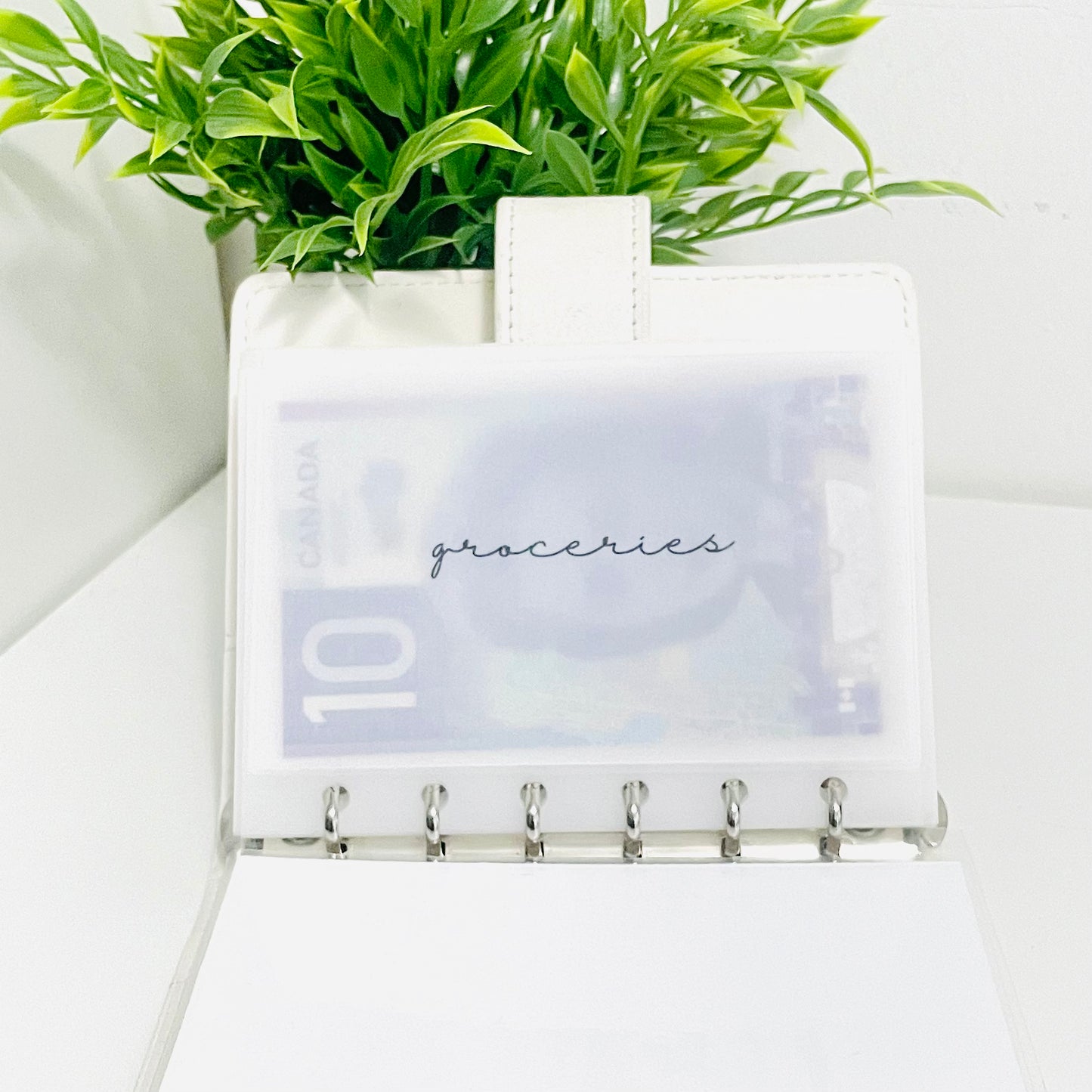 Matte Vellum Cash Envelopes
